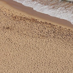 AK Interactive Dioramas - Terrains Beach Sand 250ml