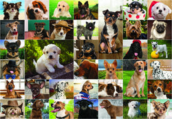 Funbox Puzzle Dogs, Dogs, Dogs Puzzle 1,000 pieces