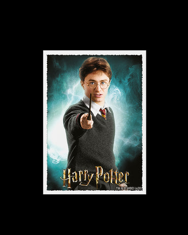 Sleeves - Dragon Shield - Box 100 - MATTE Art - WizardingWorld Harry Potter
